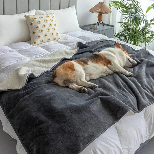 Premium Waterproof Pet Blanket
